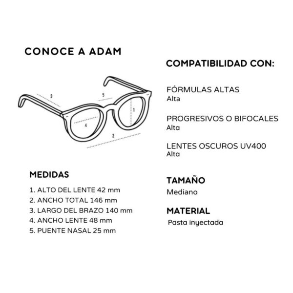 Adam - Imagen 9